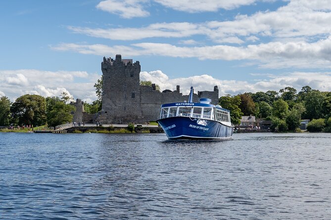 1 hour Lake Cruise on Killarney's Largest Lake - Wildlife and Photo Moments: When the Lake Gives You More Than You Planned