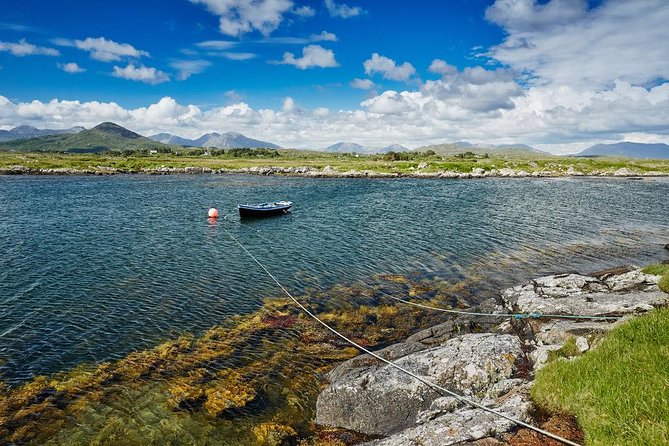 3-Day Southern Ireland Tour Including Galway and Kerry from Dublin - Price and value: is $469.45 for three days a good deal?