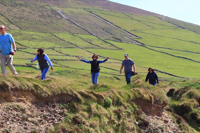 6-Day Magical Southern Explorer Small Group Tour - The Burren Farm Experience With Bronagh and Cathal, Then Burren National Park