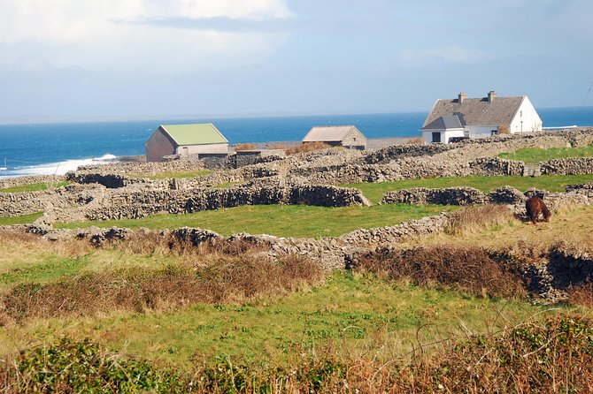 Aran Island, Cliffs of Moher & Cruise tour from Galway. Guided. - Cliffs of Moher from the boat, then the summit and eco-friendly visitor centre
