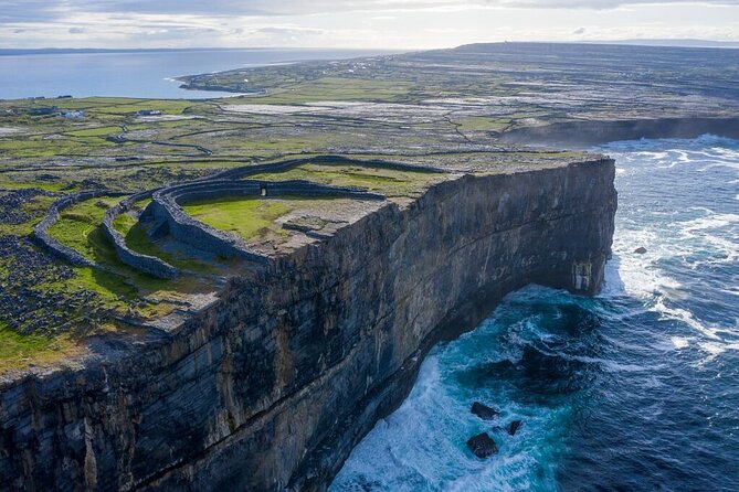 Aran Islands and Cliffs of Moher Day Cruise sailing from Galway City Docks - What wildlife viewing feels like on this route