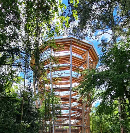 Avondale: Beyond the Trees Treetop Walk & Tower Entry Ticket - Check-in and the QR code rule (don’t skip this)