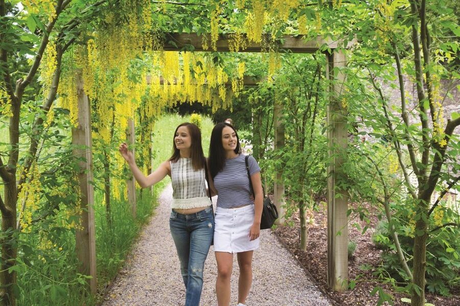 Blarney Castle Full-Day Tour from Dublin - From Paddy’s Palace to County Cork in a climate-controlled van
