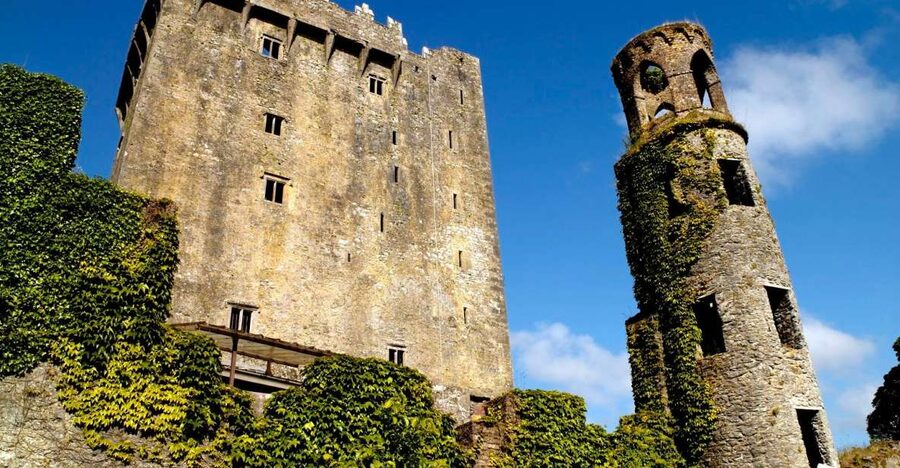 Blarney Castle Full-Day Tour from Dublin - Blarney Castle gardens, Witch’s Cave, and making time for the Stone