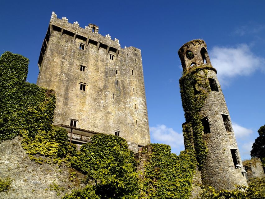 Blarney Castle Full-Day Tour from Dublin - Celtic Crosses and the Round Tower: small stops with big payoff