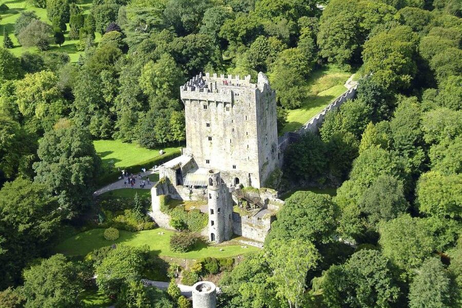 Blarney Castle Full-Day Tour from Dublin - Practical tips that make the day feel smoother