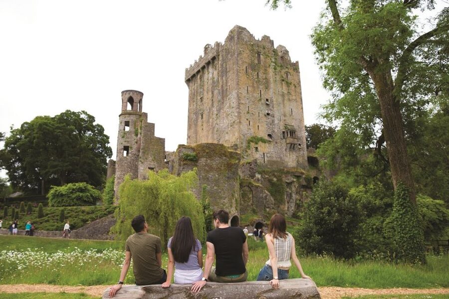 Blarney Castle Full-Day Tour from Dublin - Cork on the River Lee: English Market lunch or St Finbarre’s Cathedral