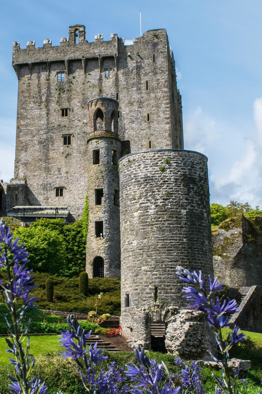 Blarney Castle: Private Guided Day Tour from Dublin - A private day that connects Tipperary and Cork