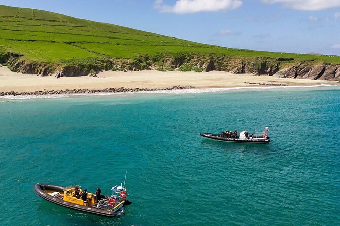 Blasket Island Sea Life Rib Tour, - Atlantic Motion + Wildlife Odds in Dingle Bay