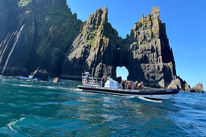 Blasket Island Sea Life Rib Tour, - Blasket Islands Coast Up Close: Cliffs and Sea Caves