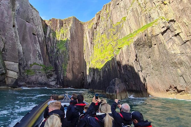 Blasket Island Sea Life Rib Tour, - Wildlife You Can Expect: Dolphins, Whales, Seals, and Sea Birds