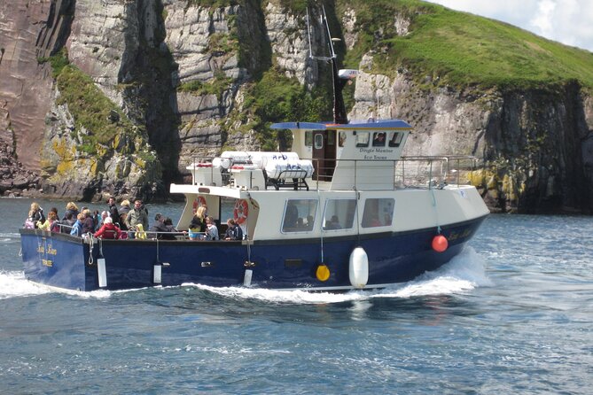 Boat Tour of Dingle Peninsula - Key highlights worth knowing