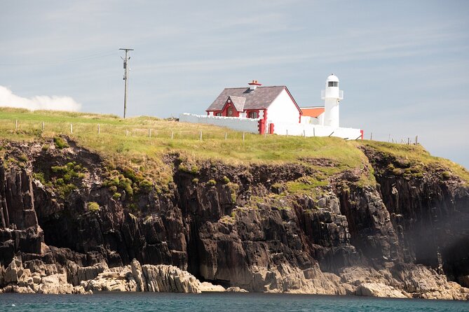 Boat Tour of Dingle Peninsula - Why this Dingle boat tour clicks for most days