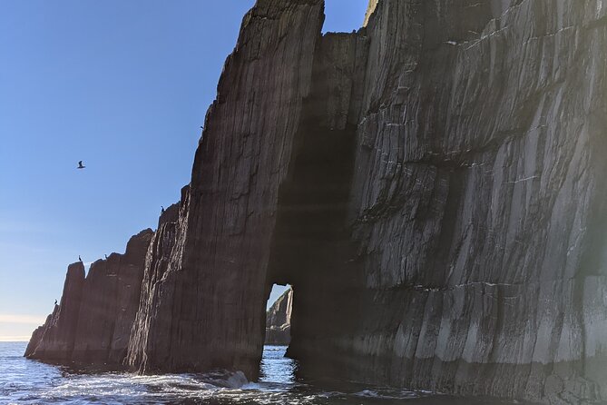 Boat Tour of Dingle Peninsula - Weather, safety, and when the route might change