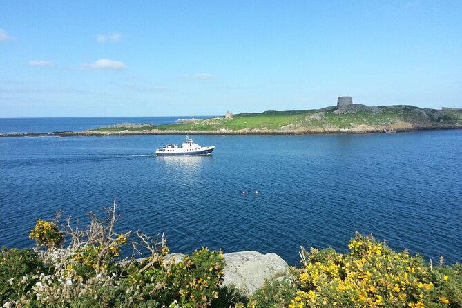 Boat Trip from Dun Laoghaire to Howth - Howth Harbour and seals: the payoff moment