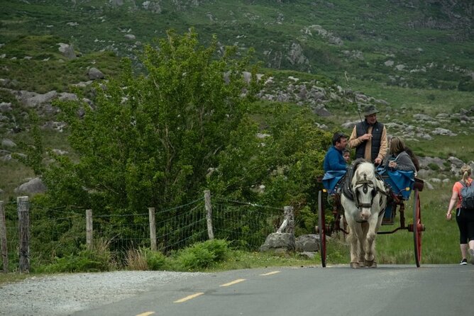 Bus, Boat & Jaunting Cart Tour (Jaunting Cart Paid Separately) - The Boat on the Lakes of Killarney: Ross Castle and the Meeting of the Waters