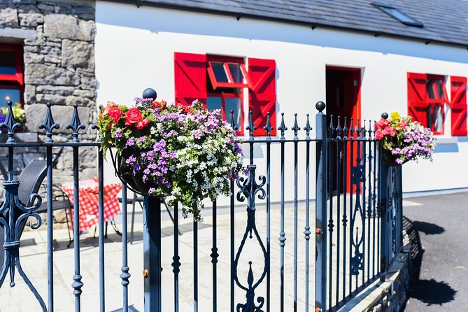 Caherconnell Fort & Sheepdog Demonstrations - After the show: dog photos, petting, and what to expect