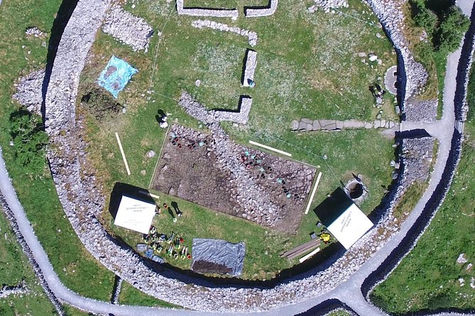 Caherconnell Fort & Sheepdog Demonstrations - Timing and pacing: how long this takes and how to fit it in
