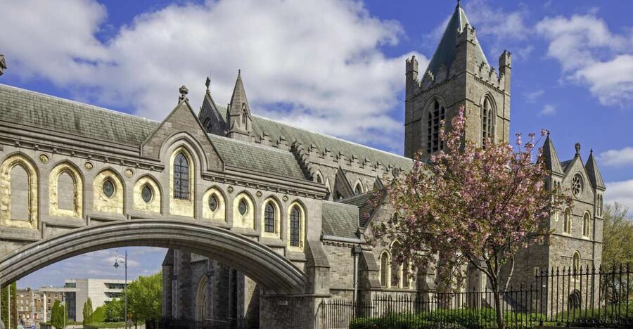 Christ Church Cathedral Entrance Ticket & Self-Guided Tour - The nave: where the floor tiles do half the work