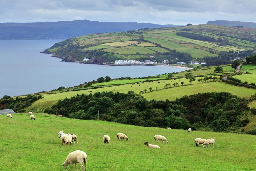 Cliffs of Moher and Blarney 2-Day Tour from Dublin - FAQ