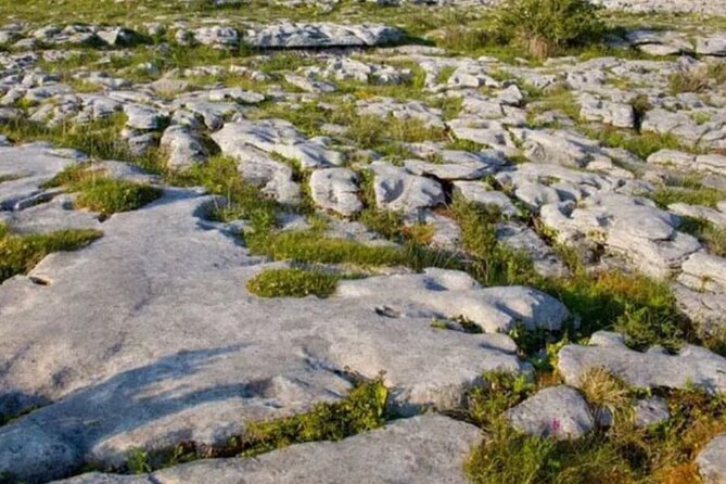 Cliffs of Moher, Burren and Galway 2 Days Private Chauffeur Tour - Day 1 at the Cliffs: Walking the Safe Paths Above the Atlantic