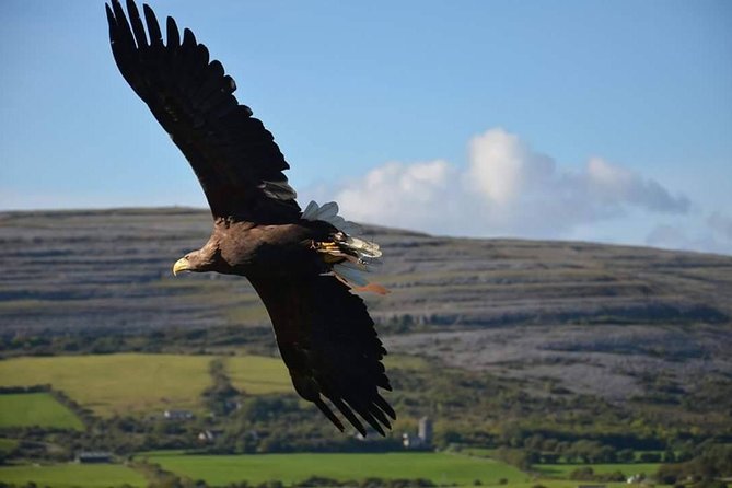 Cliffs of Moher & Burren Day Tour with a 2 hour stop at Cliffs - Wild Atlantic Way via Ballyvaughan: Burren rock country and photo-friendly pacing