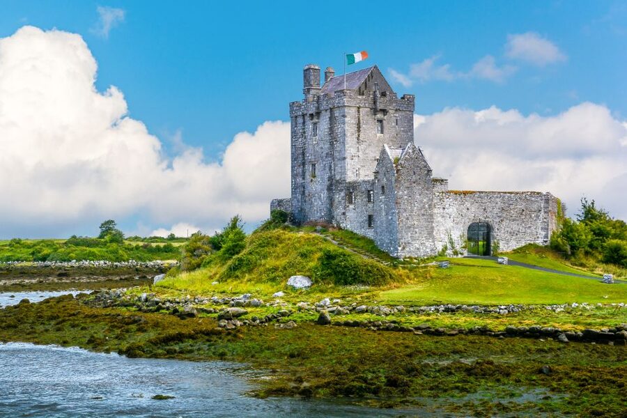 Cliffs of Moher Full-Day Tour from Dublin - The Burren’s lunar feeling and plant life you can actually imagine