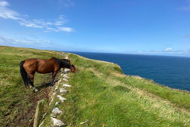 Cliffs of Moher Hiking Tour from Galway - Small Group - Why this Cliffs of Moher tour feels different from the usual stop-and-stare