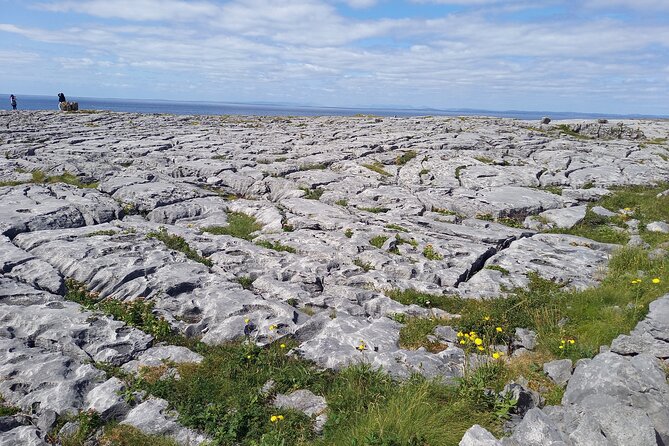 Cliffs of Moher & Sheepdog Demonstrations from Galway - Vehicle comfort, group size, and the value of having a driver handle the day