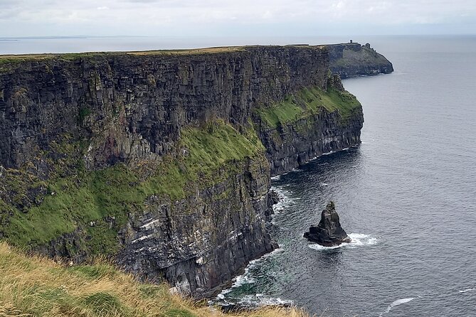 Cliffs of Moher & Sheepdog Demonstrations from Galway - Newtown Castle and Burren College of Art, medieval walls with modern creativity