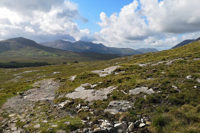 Connemara, Kylemore Abbey and Doolough Valley Full Day Private Tour from Galway - Price and logistics: where this tour earns its cost