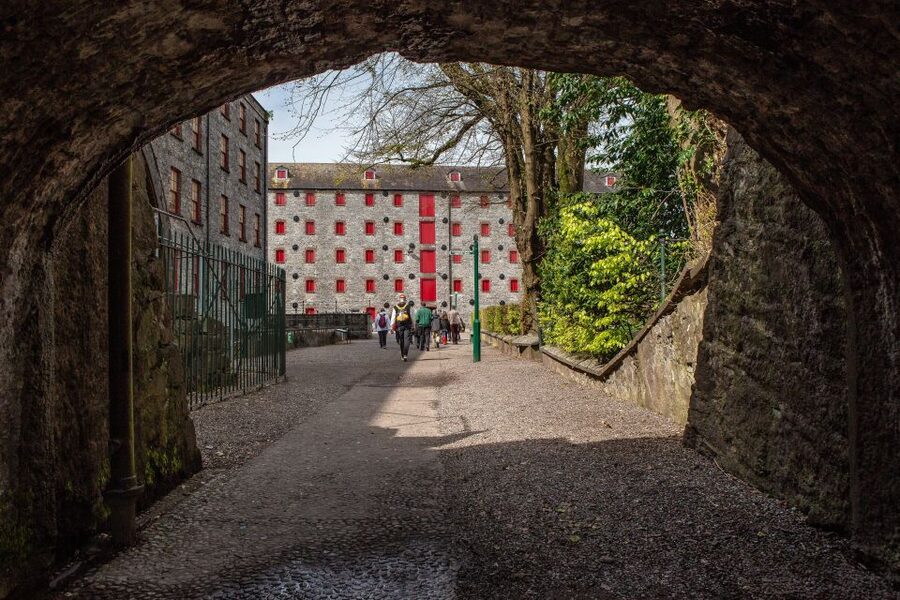 Cork: Jameson Irish Whiskey & Midleton Distillery Experience - Getting started at Jameson Distillery Midleton reception