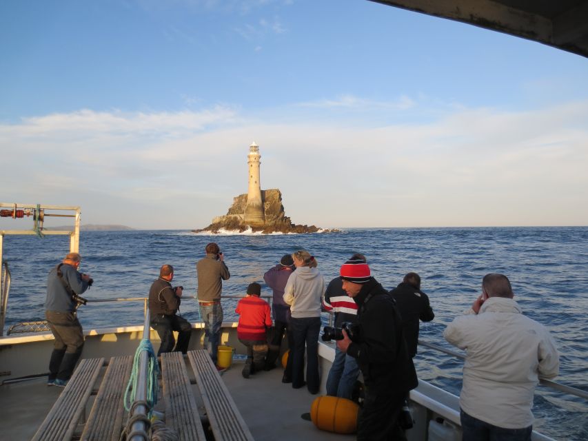 County Cork: Whale & Dolphin Watching Boat Trip - Best Moments to Aim For: Where Your Time Actually Gets Good