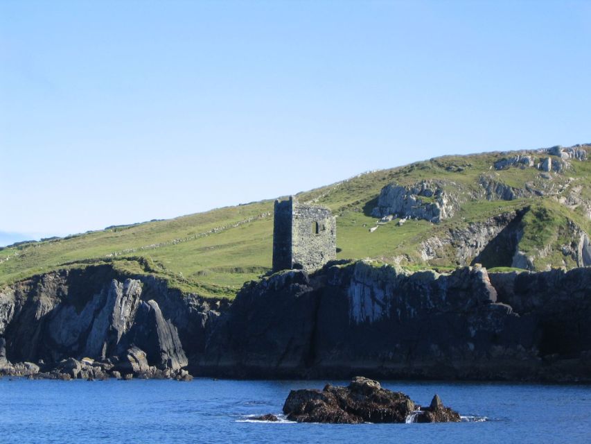 County Cork: Whale & Dolphin Watching Boat Trip - What Happens Once You’re Out: Deck Time, Wildlife Scanning, and Real-World Timing