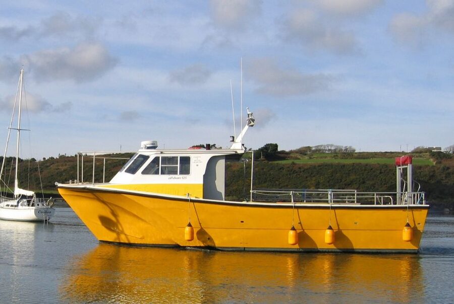 County Cork: Whale & Dolphin Watching Boat Trip - When the Irish Sea Gets Rough: Motion, Weather, and Who Should Choose Another Day