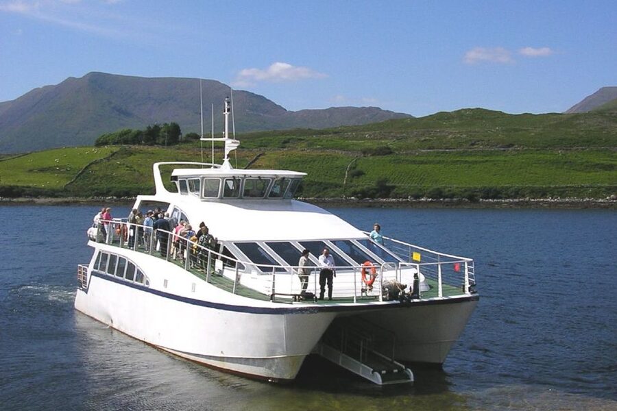 County Galway Killary Fjord 1.5-Hour Sightseeing Cruise - Cruising the fjord: what you will see along the 9-mile inlet