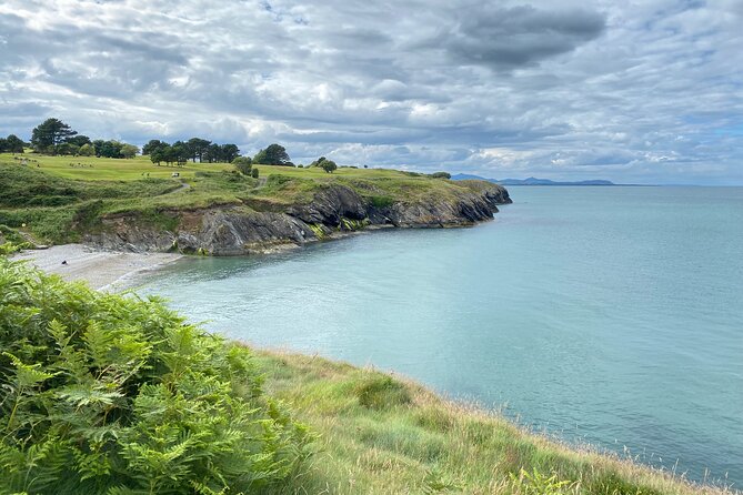 Day Tour from Dublin to Wicklow: Cliffs, Heritage, Wildlife, Gaol - Key highlights you should care about