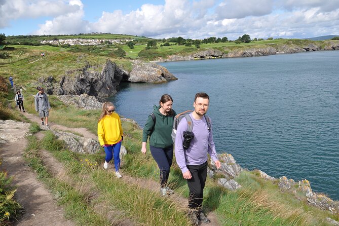 Day Tour from Dublin to Wicklow: Cliffs, Heritage, Wildlife, Gaol - How long is it really, and why the pacing works