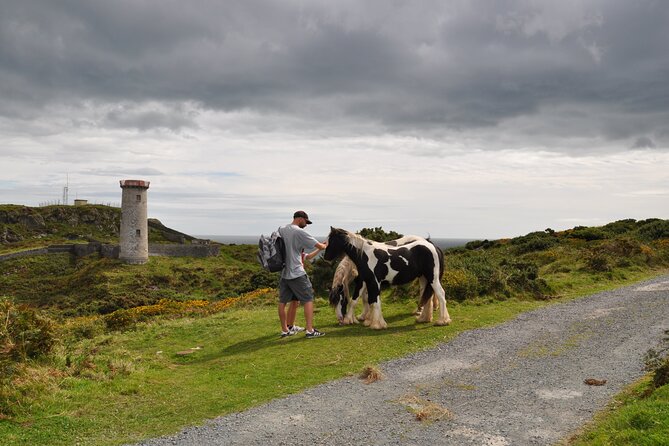 Day Tour from Dublin to Wicklow: Cliffs, Heritage, Wildlife, Gaol - Private guide service, and why that matters on a day trip