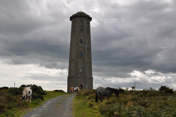 Day Tour from Dublin to Wicklow: Cliffs, Heritage, Wildlife, Gaol - What’s included, what you pay for, and whether the price makes sense