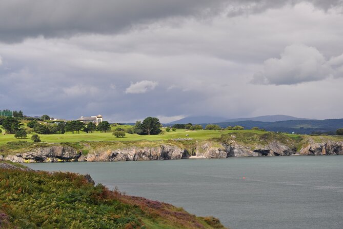 Day Tour from Dublin to Wicklow: Cliffs, Heritage, Wildlife, Gaol - Wicklow Town, Viking echoes and a Norman reminder