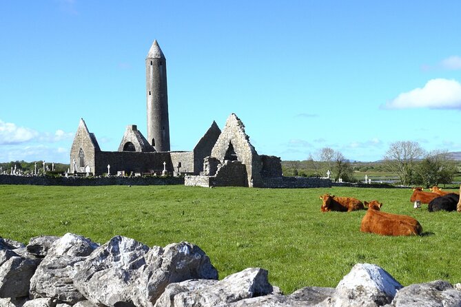 Day trip to Cliffs of Moher & Bunratty Castle and Ennis - Walking the Cliffs of Moher: 210 meters above the coast, plus the visitor center