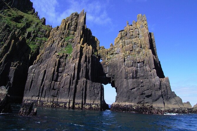 Dingle Boat Tours Wildlife RIB Adventure - Marine National Park wildlife: what you might see and when