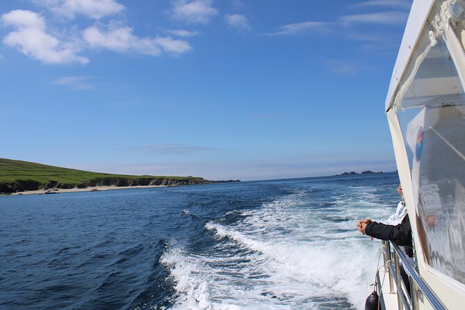 Dingle Dolphin Blasket Adventures - The 2.5 to 3 Hour Timing: What You Actually Do on the Water