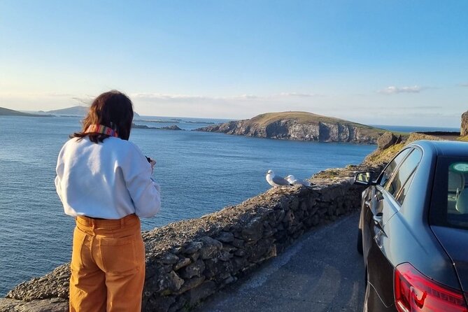 Dingle: Hour Slea Head Drive Tour 4hr - Personal Chauffeur Guide - Why this Dingle chauffeur tour beats self-driving on the Slea Head route