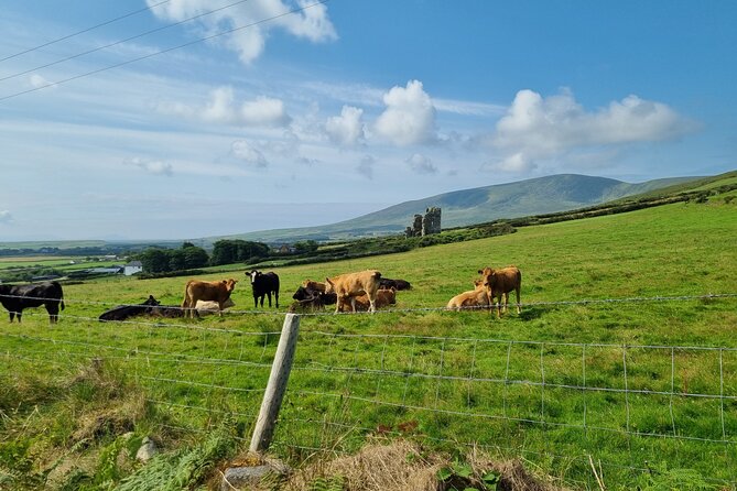 Dingle: Hour Slea Head Drive Tour 4hr - Personal Chauffeur Guide - Stop 1 and 2, Eask Tower and Ventry Beach: setting the tone fast