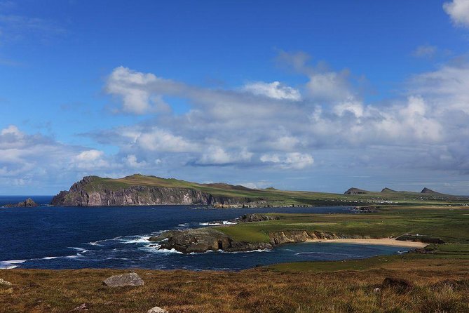 Dingle Peninsula Day Tour from Cork: Including The Wild Altanic Way - Dingle Village Time: Pubs, Fungi the Dolphin, and Lunch Planning