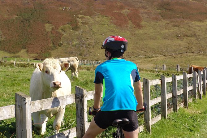 Donegal Coast One Day Self-Guided E-Bike Tour - The best reason to choose this Donegal e-bike day