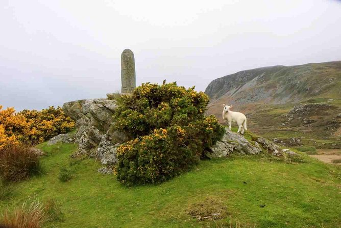 Donegal Coast One Day Self-Guided E-Bike Tour - Riding days on Donegal roads: traffic, hills, and your safety mindset
