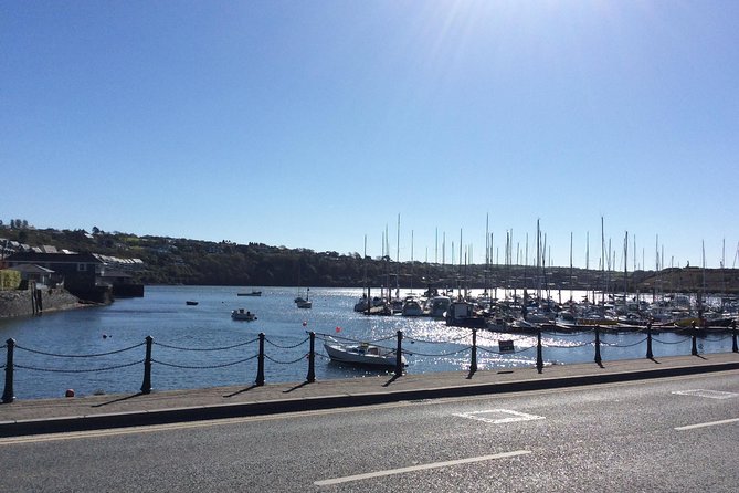 Driver Guide for up to 10 days (per day ) - Custom Routes Beyond Dublin: From Waterford and Kilkenny to Cliffs of Moher